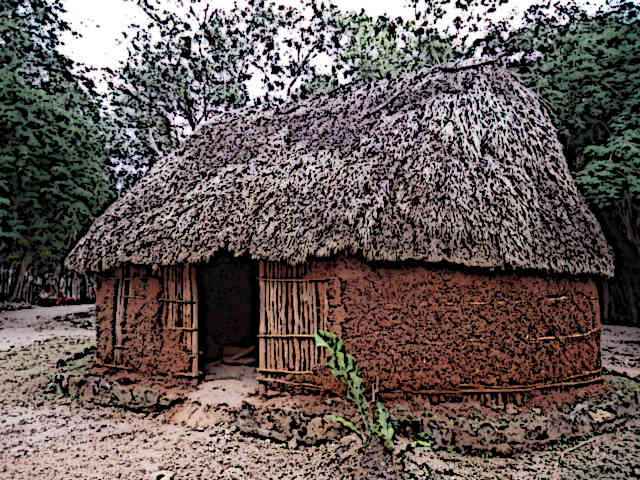 Mayan Homes